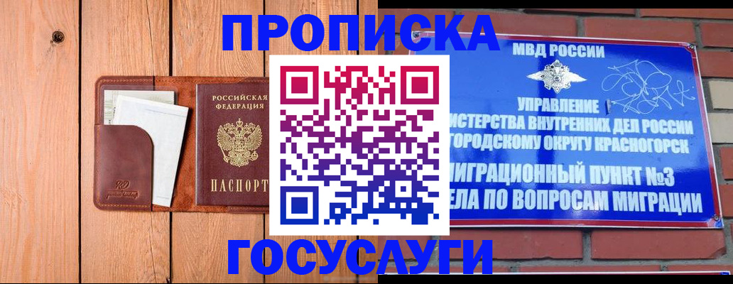 регистрация в Фрязино